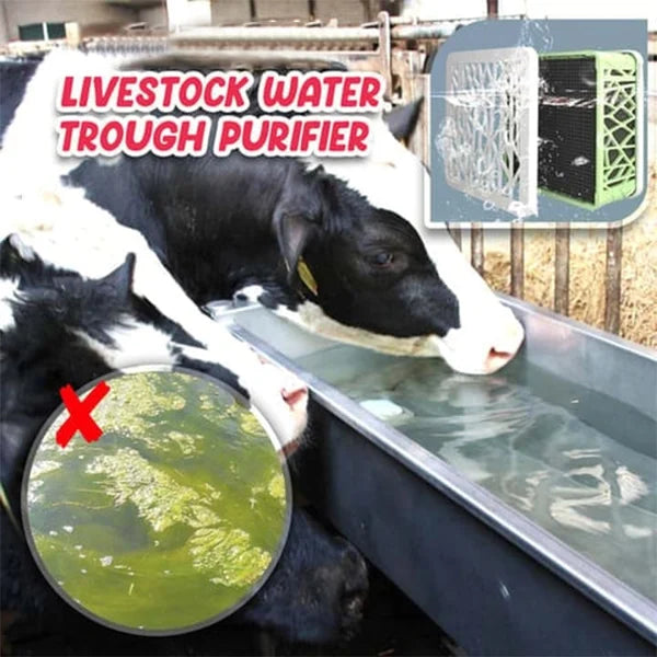 🔥LAST DAY 48% OFF 🔥 Livestock Water Trough Purifier